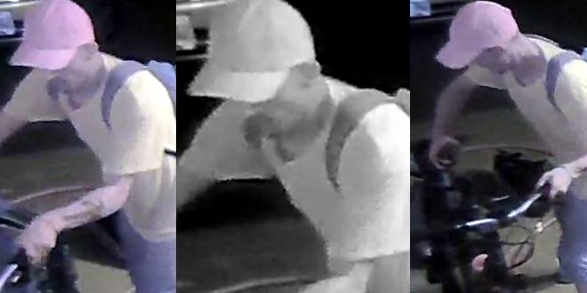 suspect pic